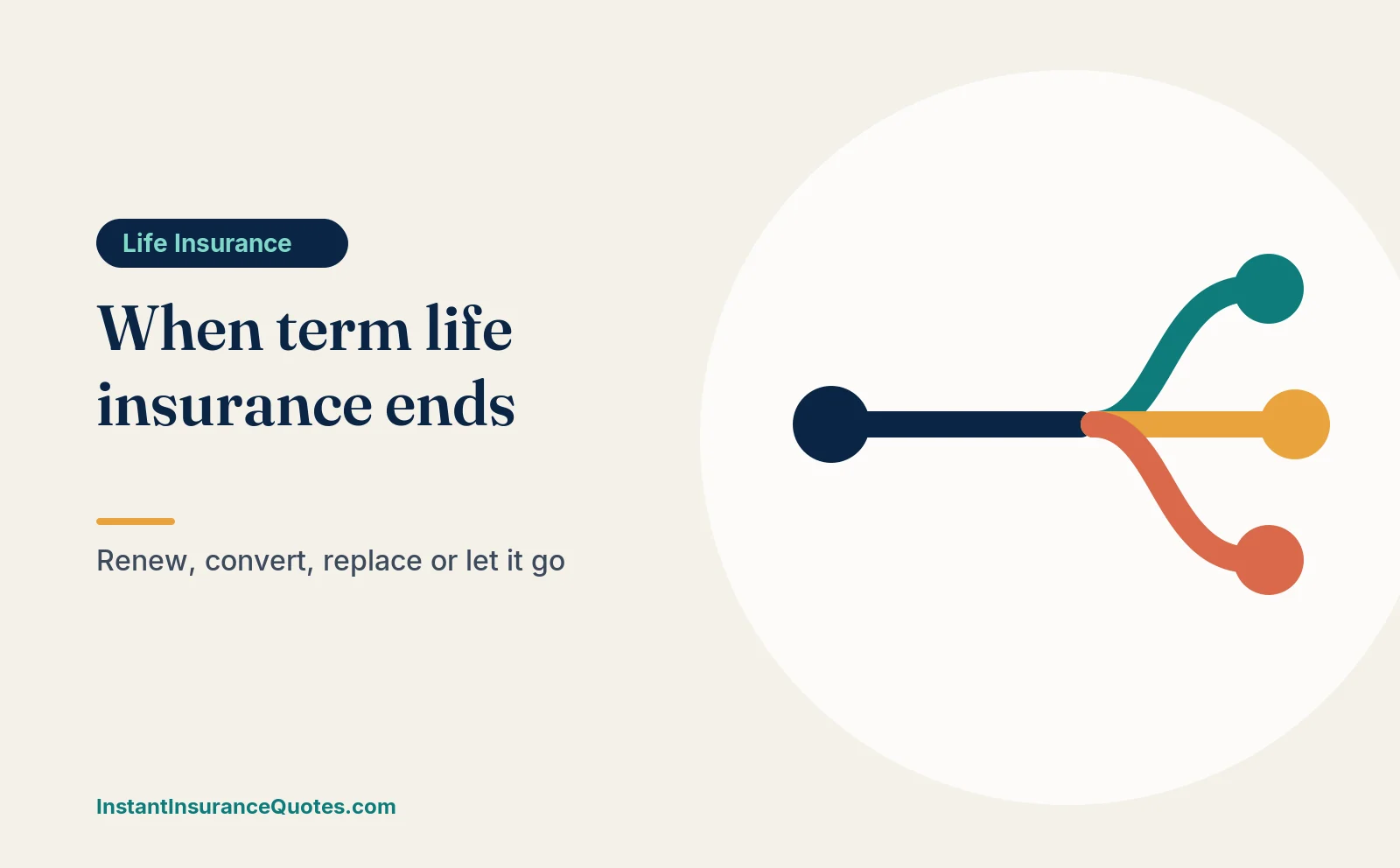 Illustration: what happens when term life insurance ends